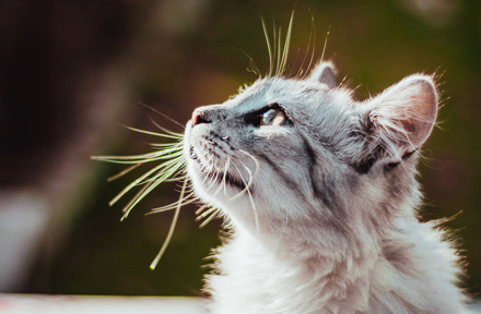 Administration & workshop